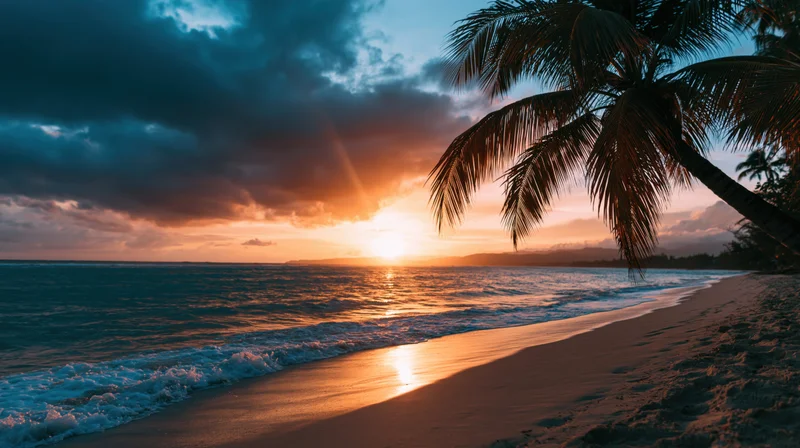 Tropical beach at sunset palm silhouettes leaning over shore