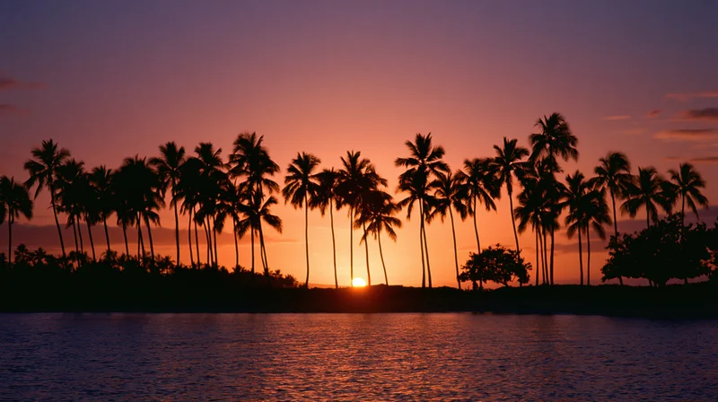 Row of palm trees silhouetted against a colorful sunset over the ocean at dusk