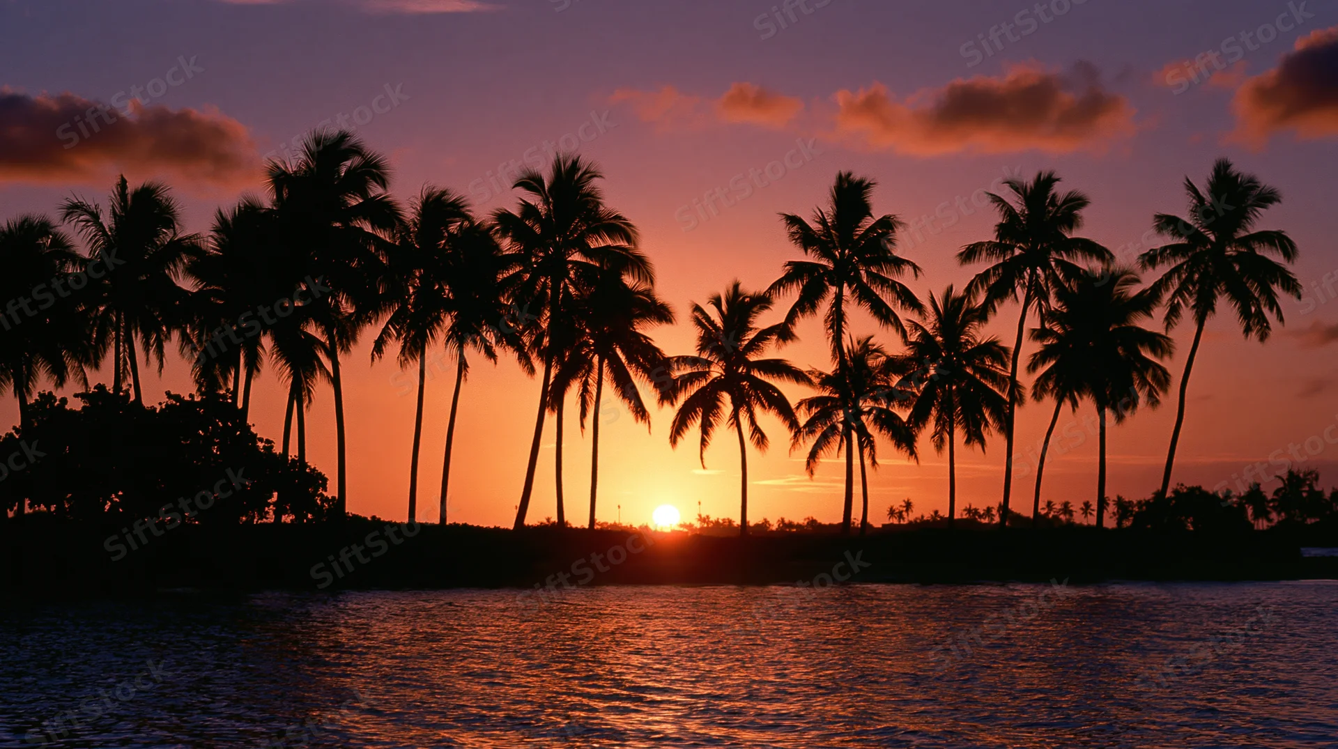 Silhouetted palm trees along a tropical beach at sunset over the ocean