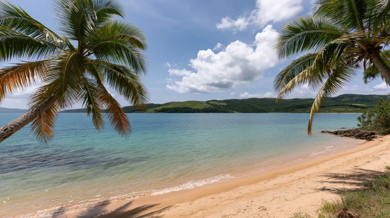 Tropical beach cove with calm shallow turquoise water meeting sandy shore under palm trees