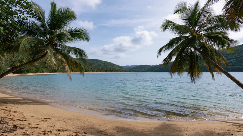 Tropical beach cove with calm shallow turquoise water meeting sandy shore framed by palm trees