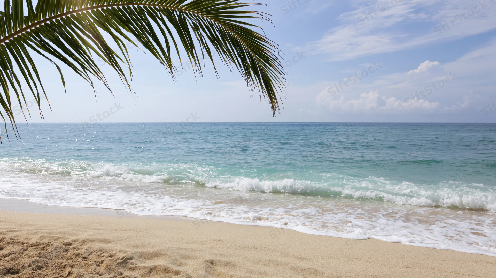 Tropical beach with palm frond overhead and gentle waves rolling onto sandy shore