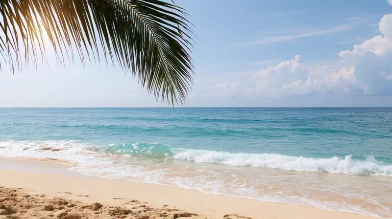 Tropical beach with palm frond overhead and gentle waves rolling onto sandy shore