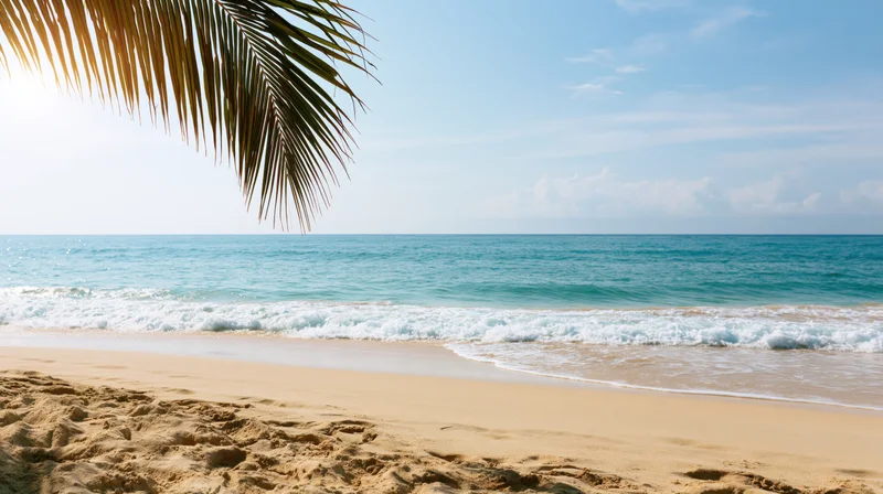 Tropical beach with palm frond over sandy shore and gentle waves rolling in under clear blue sky