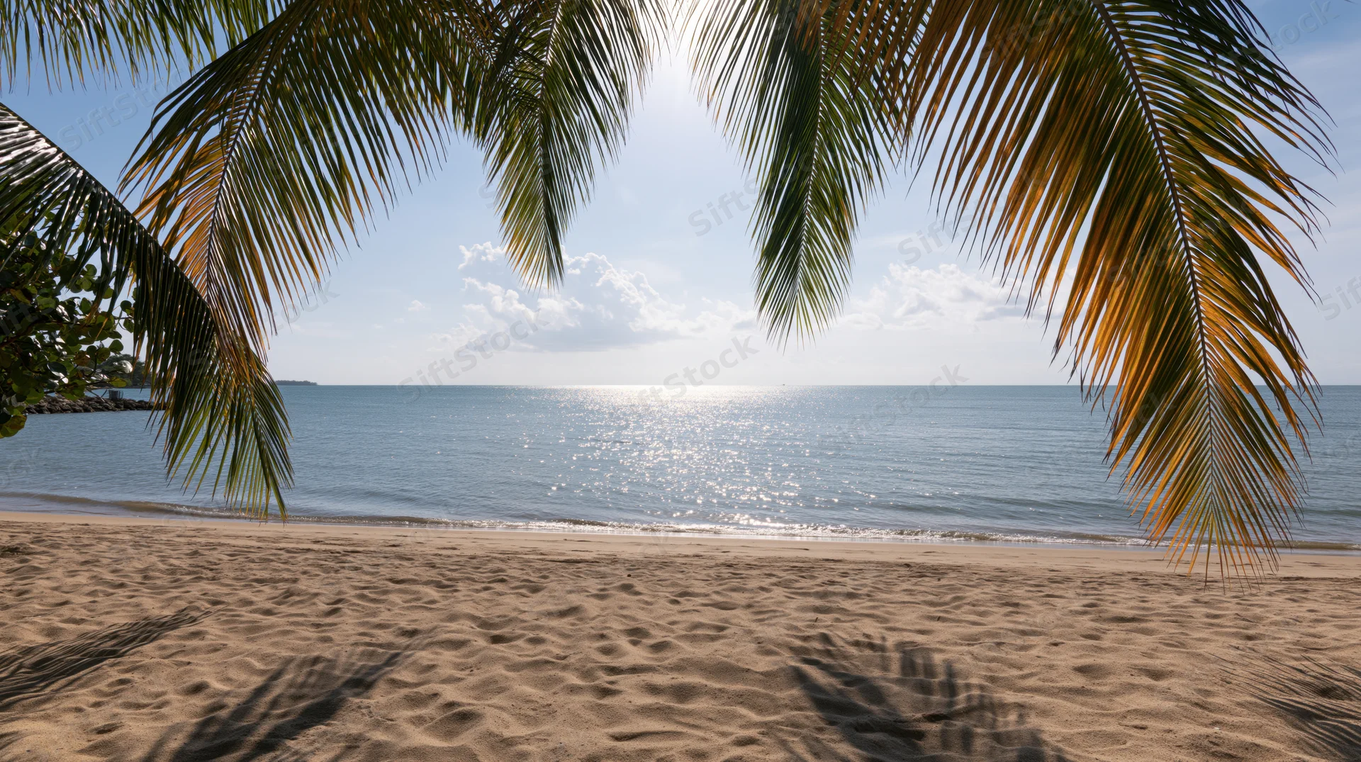 Tropical beach framed by palm fronds overlooking ocean under sunny sky