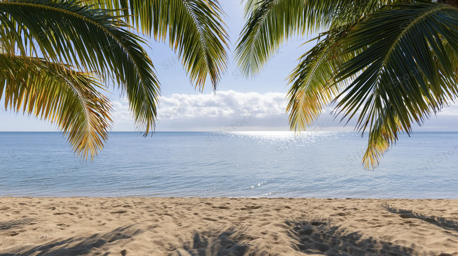 Tropical beach framed by palm fronds overlooking calm ocean under partly cloudy sky
