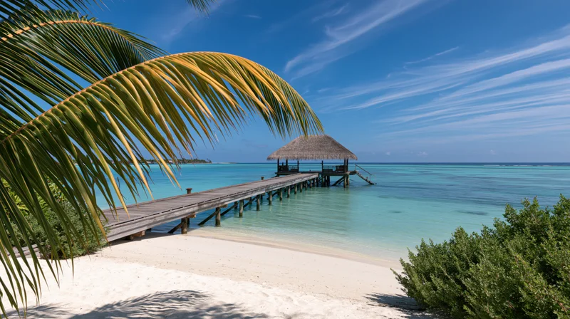Wooden pier extending over shallow turquoise water from a white sandy beach under a blue sky with palm fronds in the foreground
