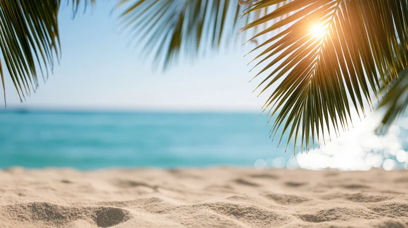 Palm fronds framing a sunlit tropical beach with ocean in the background