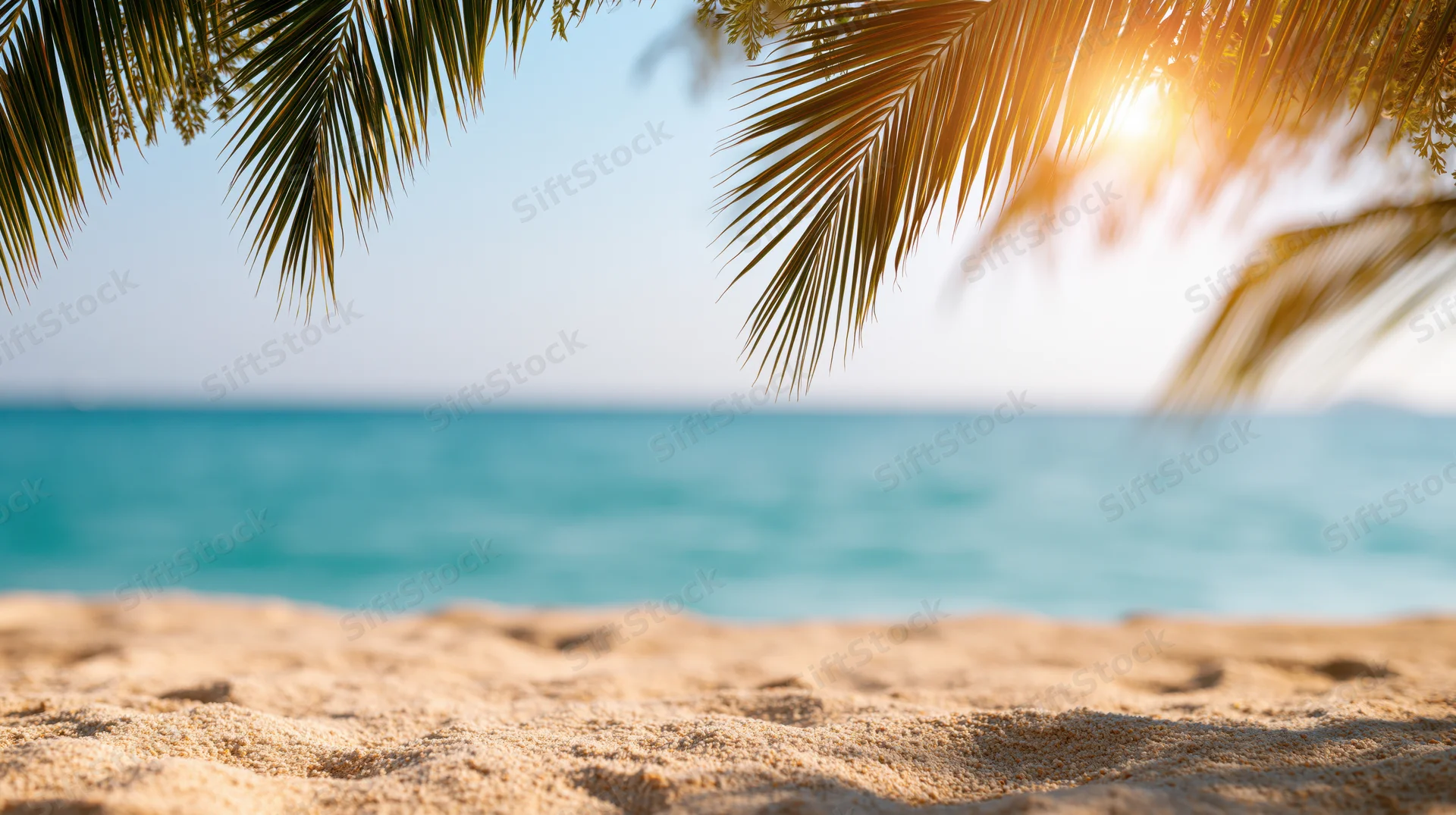Tropical beach with palm fronds framing the ocean at sunset, sandy foreground and clear sky