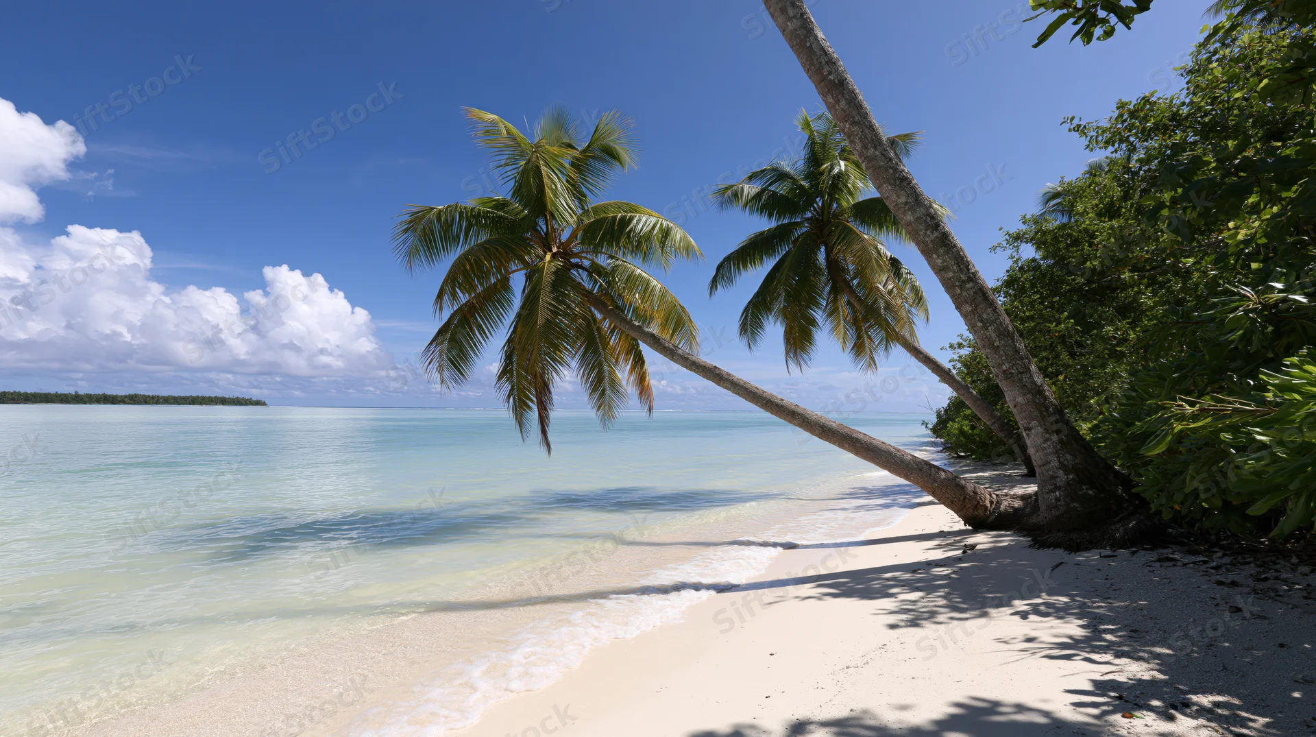 Tropical beach with two palm trees leaning over white sand and calm ocean under blue sky with clouds