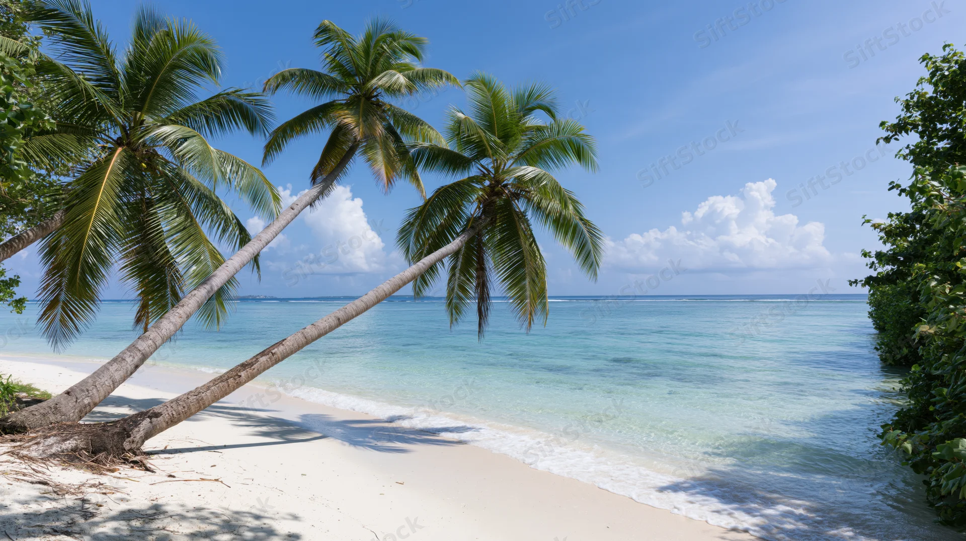 Tropical beach with two leaning palm trees beside white sand and turquoise water under blue sky