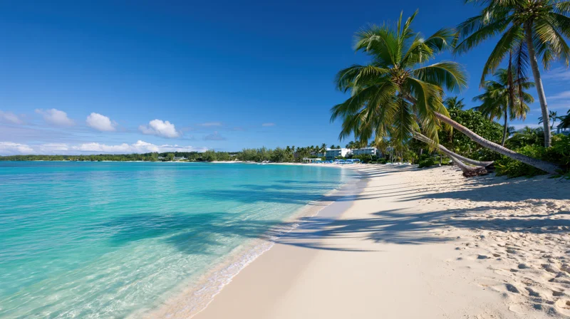 Tropical beach shoreline with calm turquoise shallow water and palm trees under clear blue sky