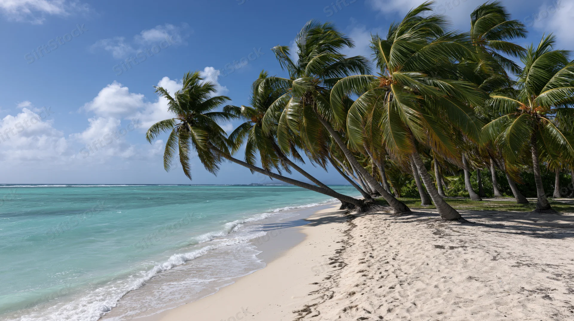 Tropical beach shoreline with coconut palms leaning over white sand and turquoise ocean under blue sky