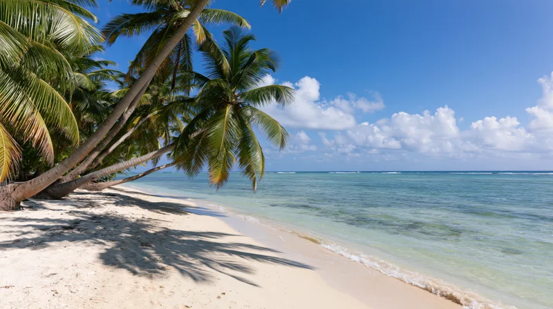 Tropical beach shoreline with palm trees leaning over white sand beside calm ocean under blue sky