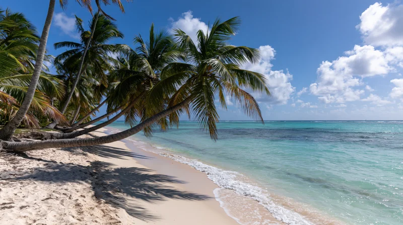 Tropical beach shoreline with palm trees leaning over white sand and turquoise water under blue sky with clouds