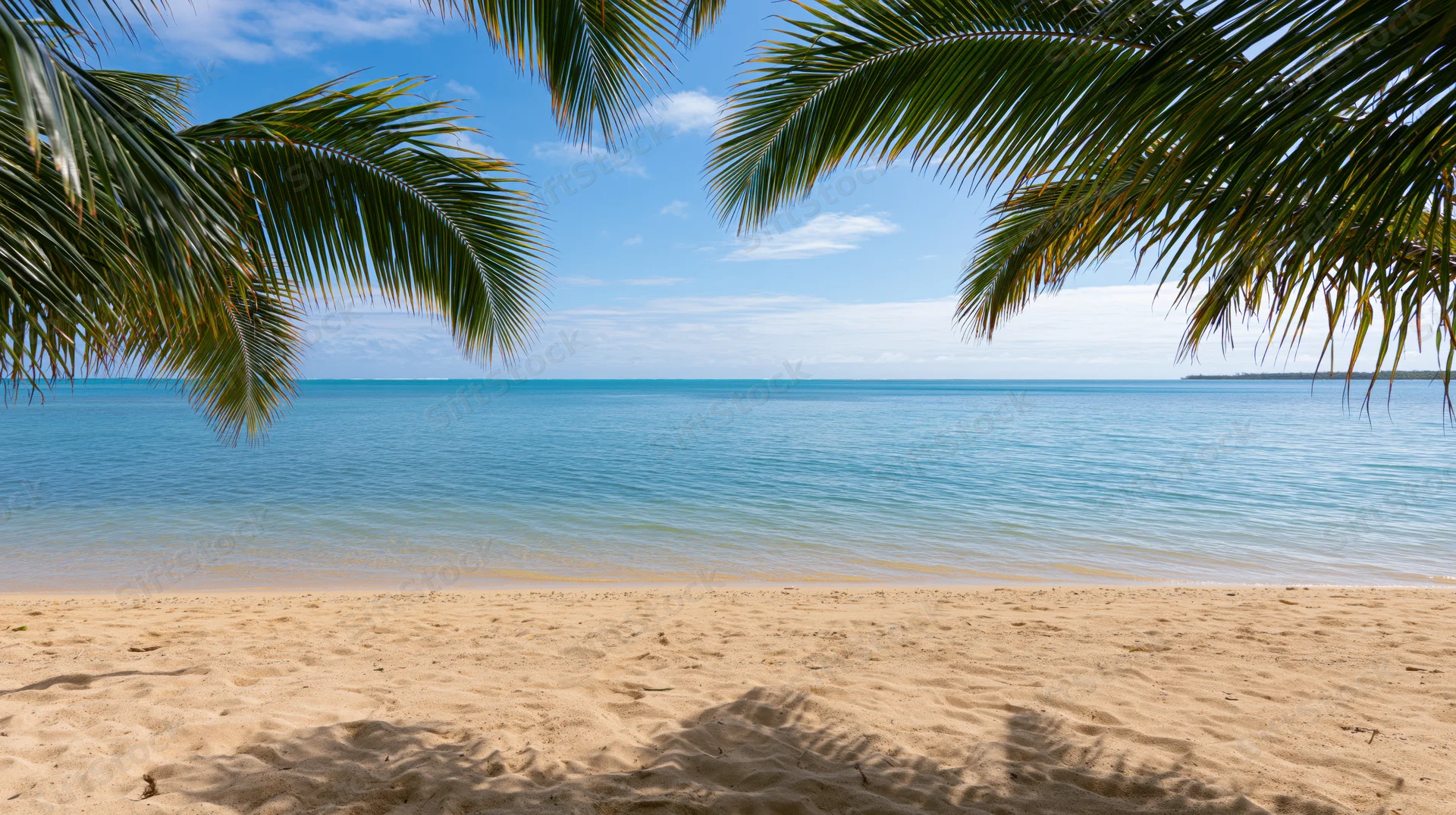 Tropical beach framed by palm fronds overlooking calm ocean and sandy shore