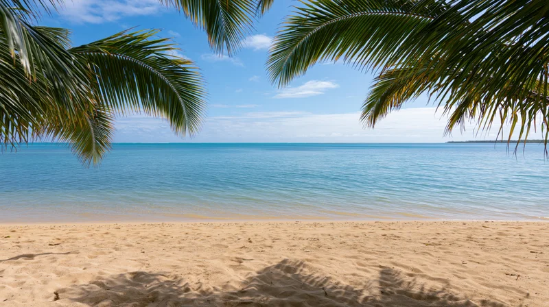 Tropical beach framed by palm fronds overlooking calm ocean and sandy shore
