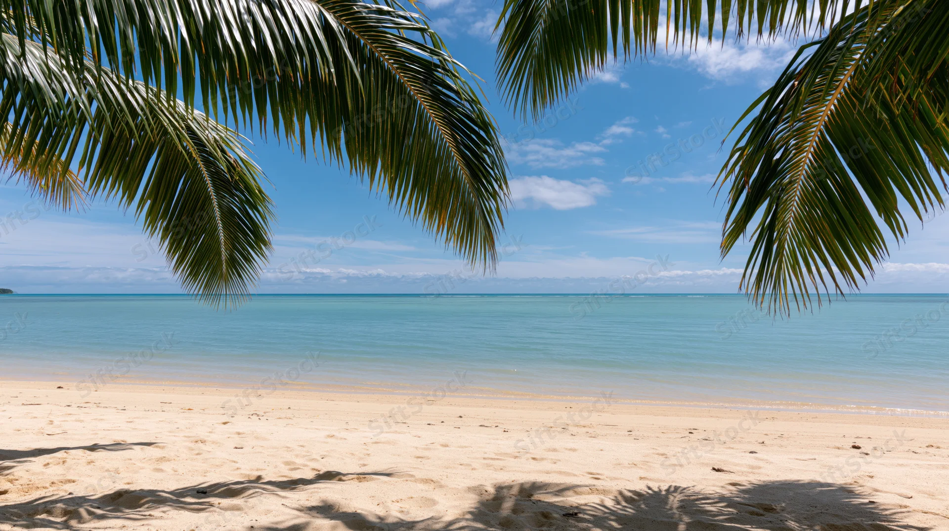 Tropical beach framed by palm fronds with ocean and sky in view