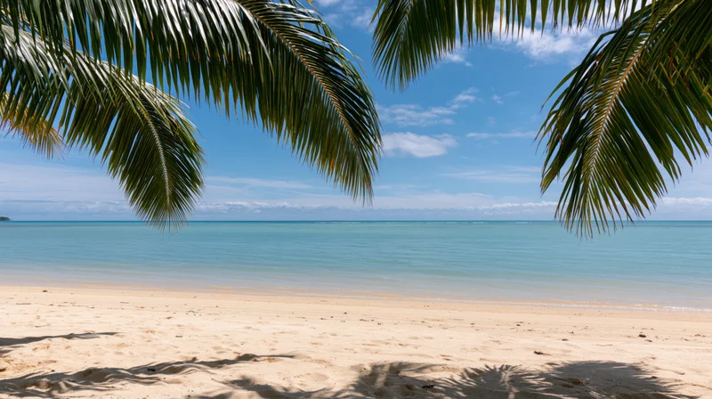 Tropical beach framed by palm fronds with ocean and sky in view