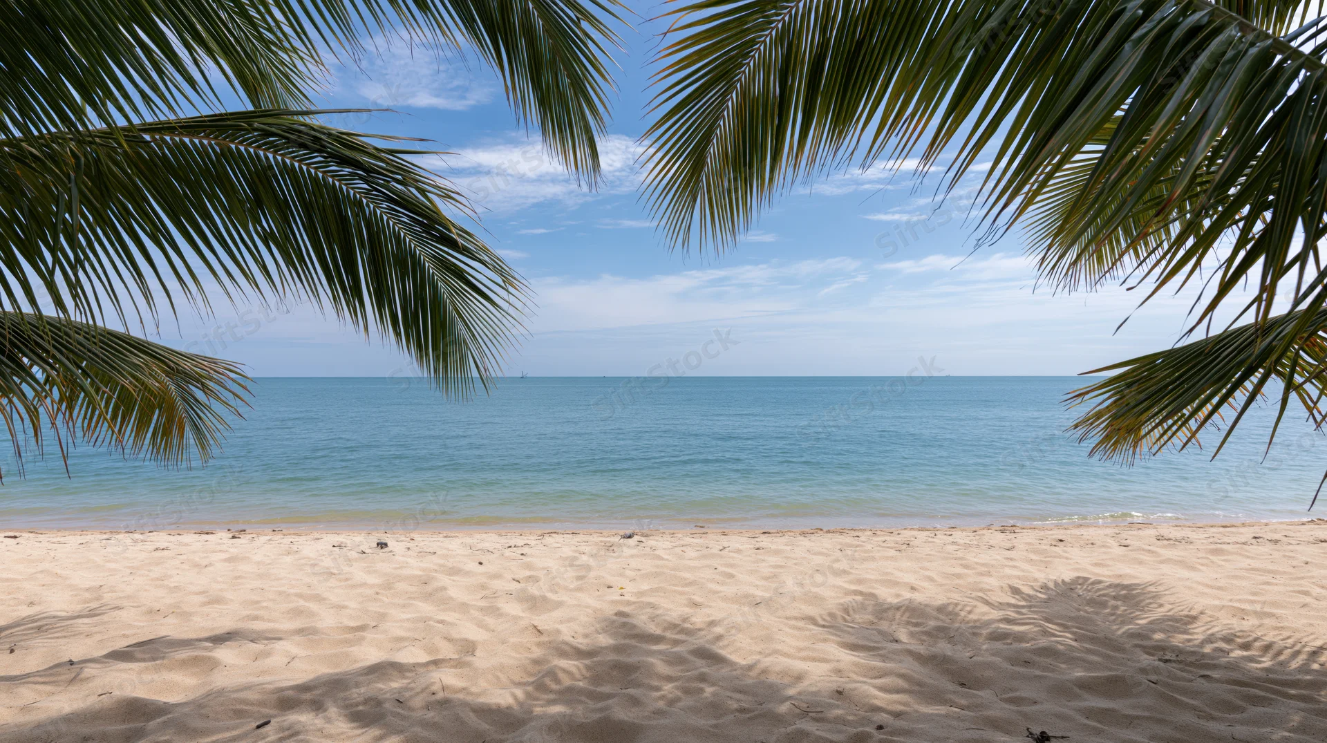 Tropical beach framed by palm fronds with sand and ocean under blue sky