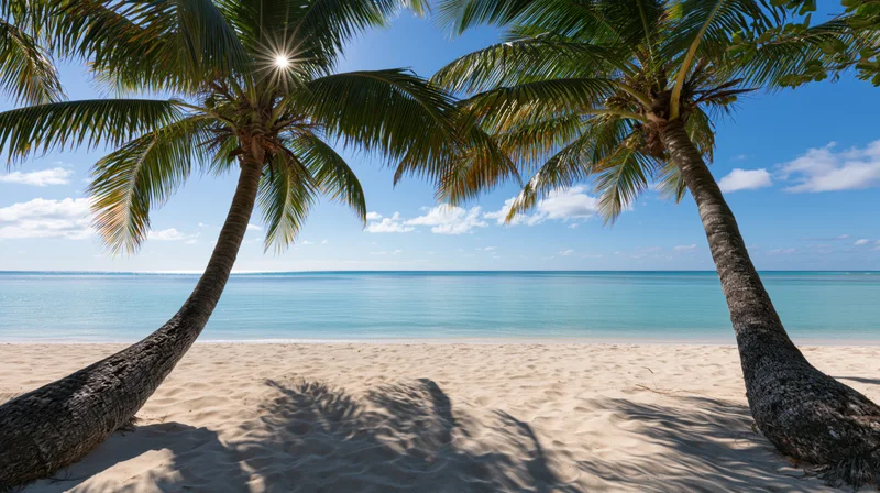 Two coconut palm trees framing a white sand tropical beach under a bright blue sky