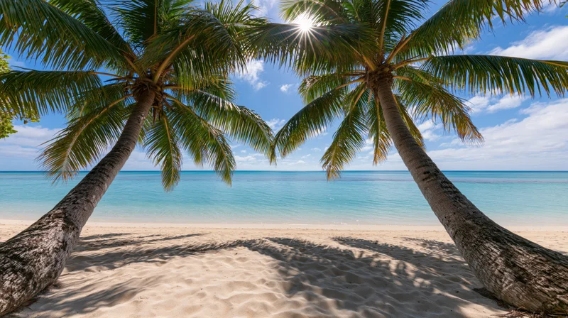 Two coconut palm trees framing a white sand tropical beach with turquoise ocean and blue sky under bright sunlight