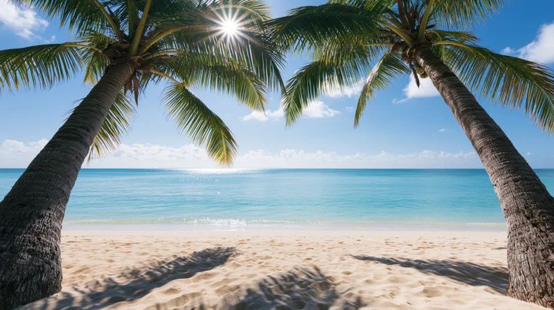 Two coconut palm trees framing a white sand tropical beach with ocean and blue sky under bright sun