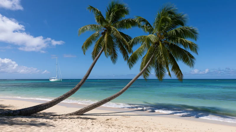 Two coconut palm trees leaning over a sandy beach with a sailboat on the turquoise ocean under a blue sky