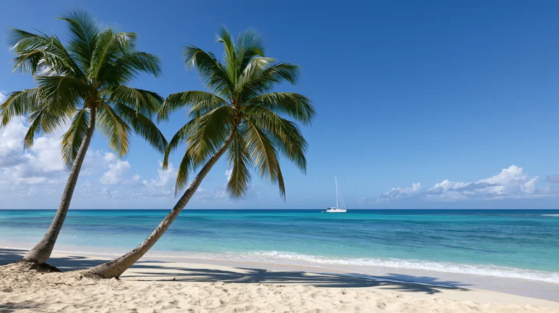 Two leaning coconut palm trees on a sandy beach beside turquoise ocean with sailboat in distance