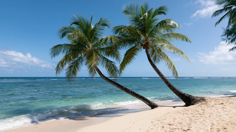 Two leaning coconut palm trees on a sandy beach beside turquoise ocean waves under blue sky