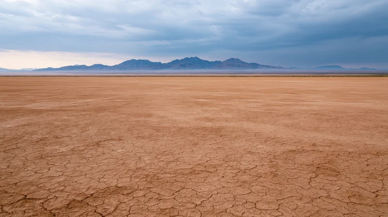 Vast cracked desert plain stretching toward distant mountains under overcast sky