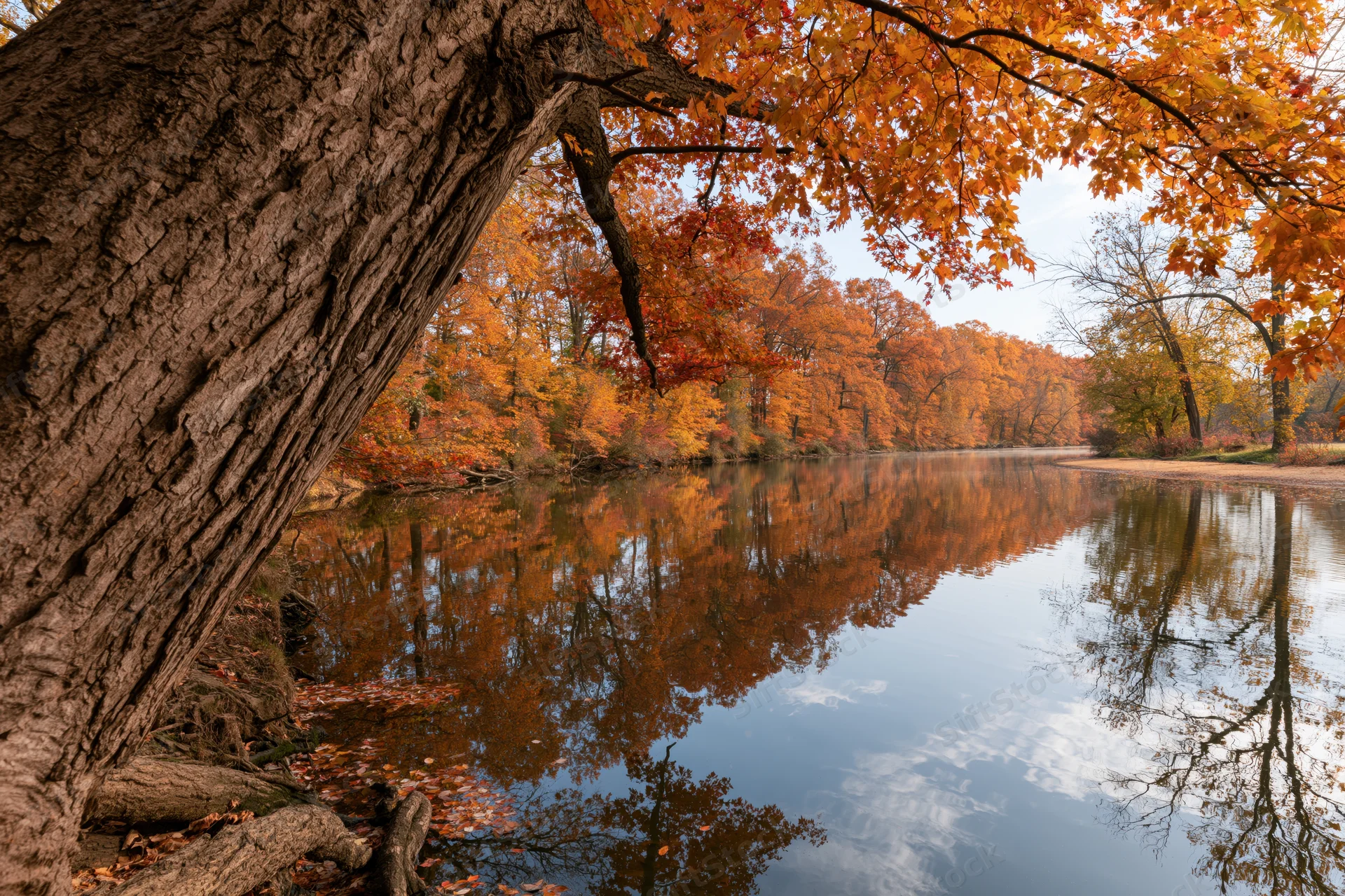 Calm river reflecting autumn forest trees along its banks