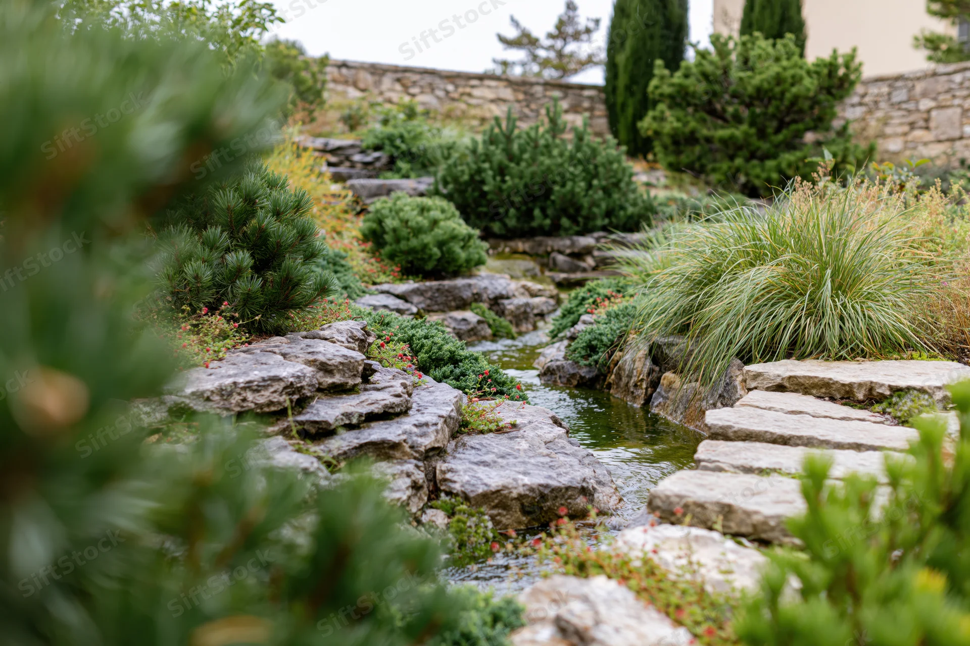 A landscaped garden with a small natural stone stream winding through greenery and stepping stones