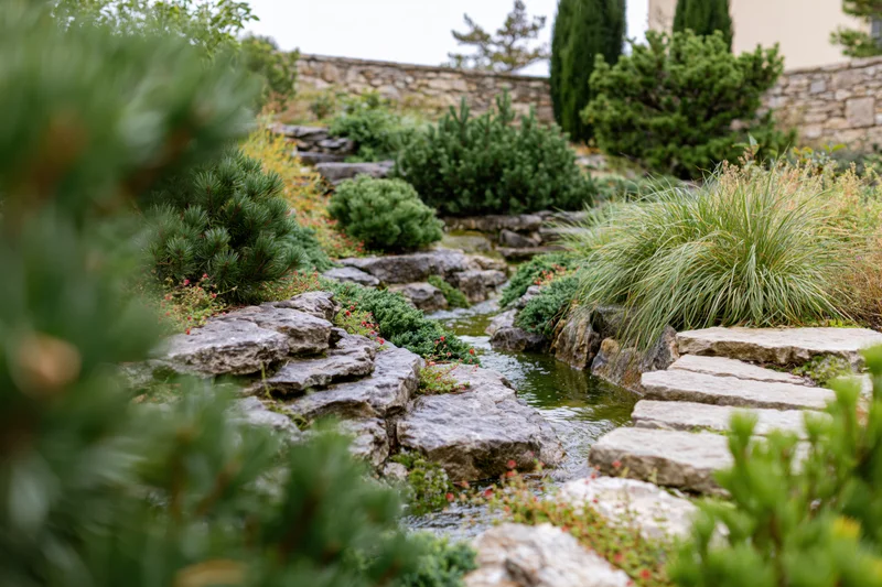 A landscaped garden with a small natural stone stream winding through greenery and stepping stones