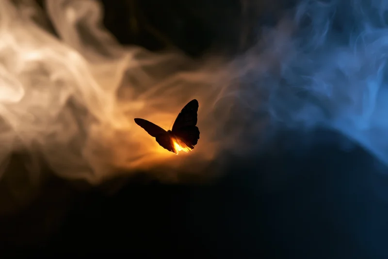 Glowing butterfly silhouette flying through swirling smoke and light