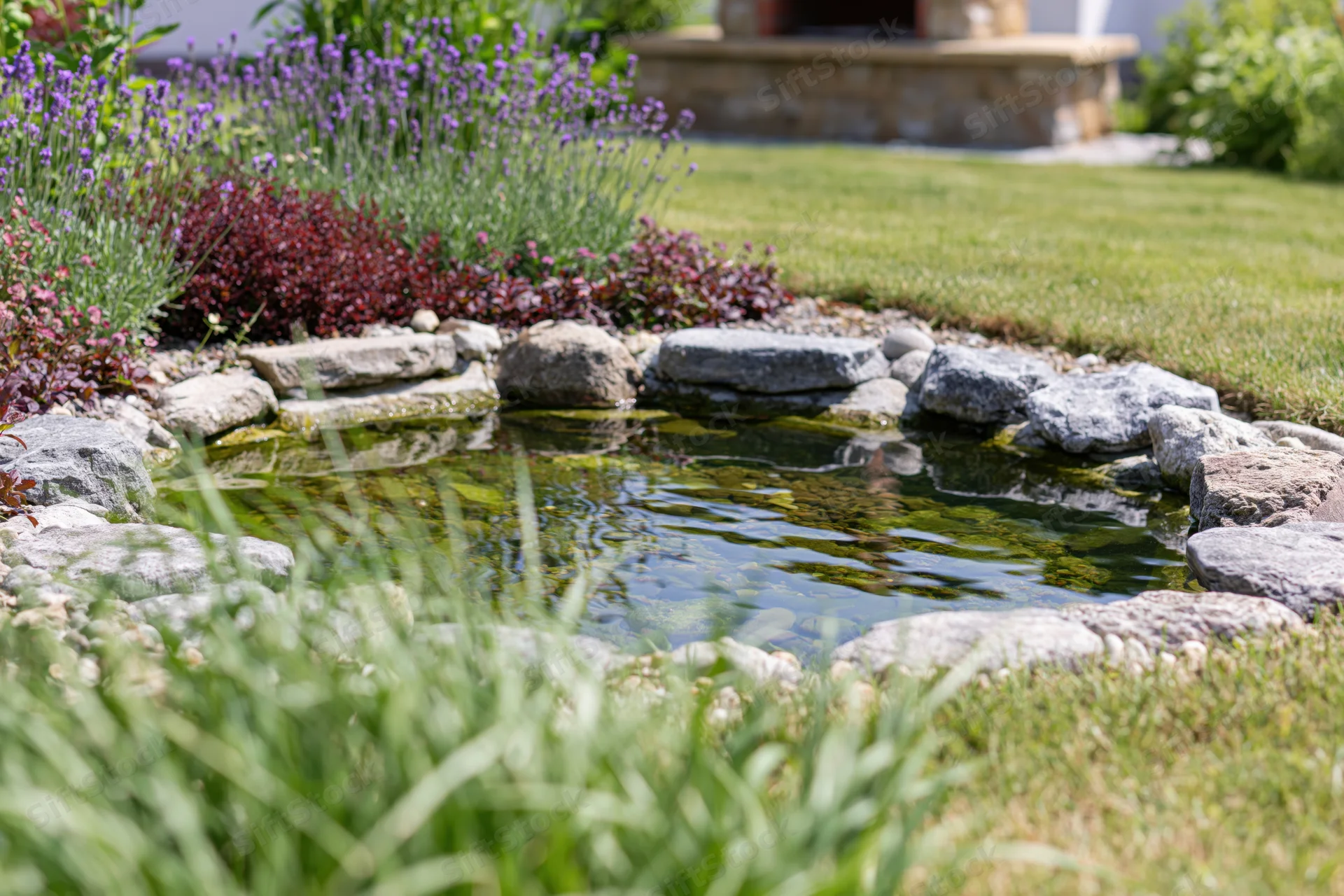 Small garden pond edged with smooth river rocks surrounded by greenery and flowers in a backyard setting