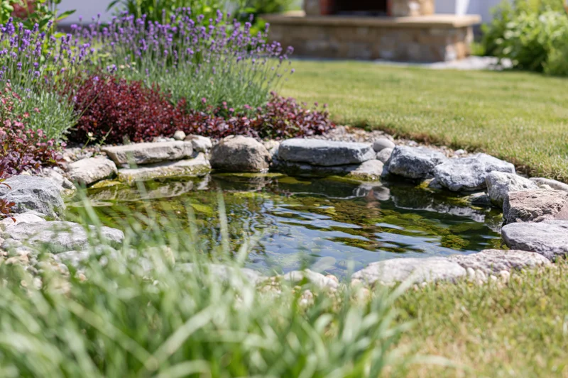 Small garden pond edged with smooth river rocks surrounded by greenery and flowers in a backyard setting