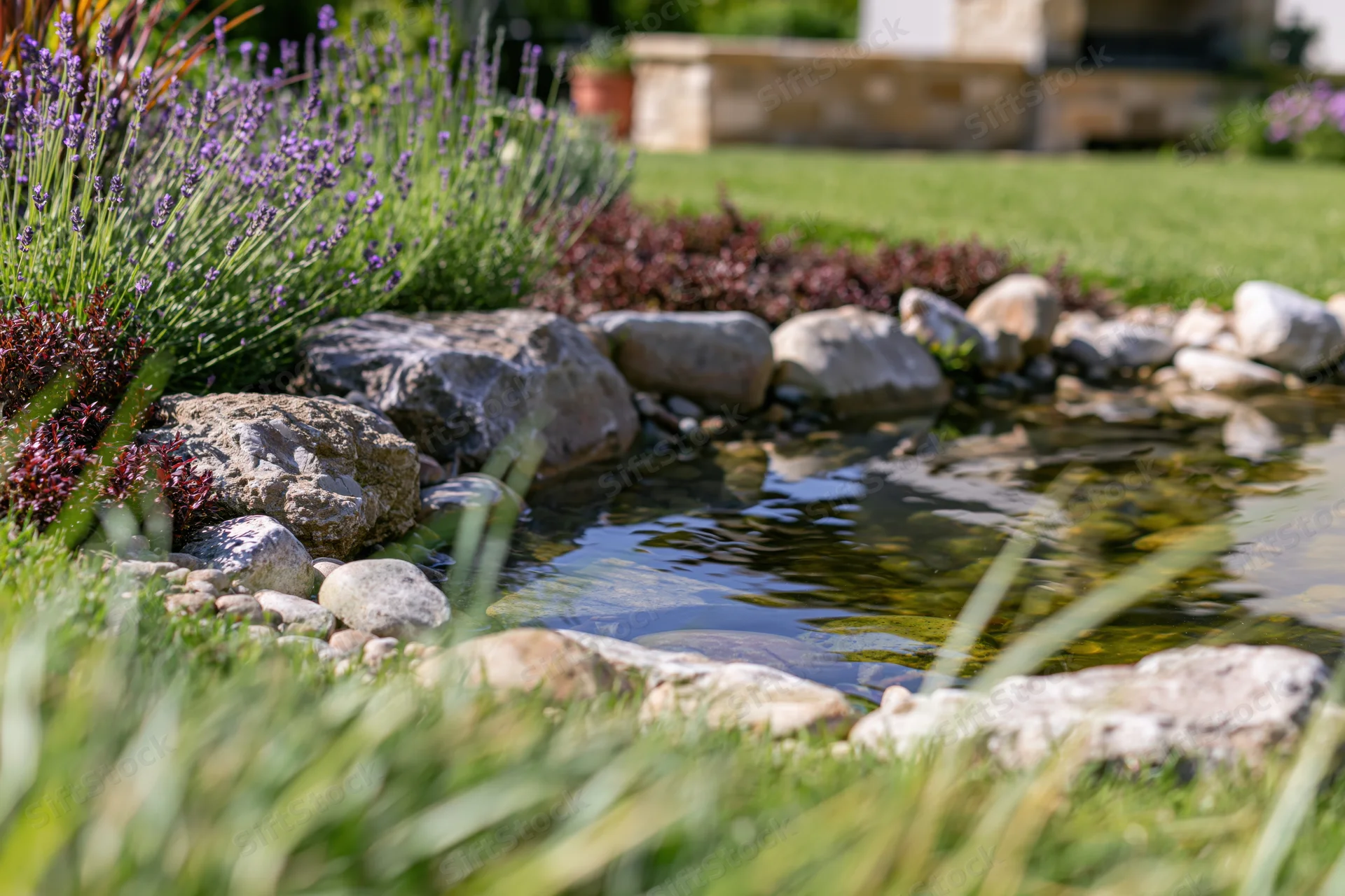 Small garden pond edged with smooth river rocks surrounded by green grass and lavender plants
