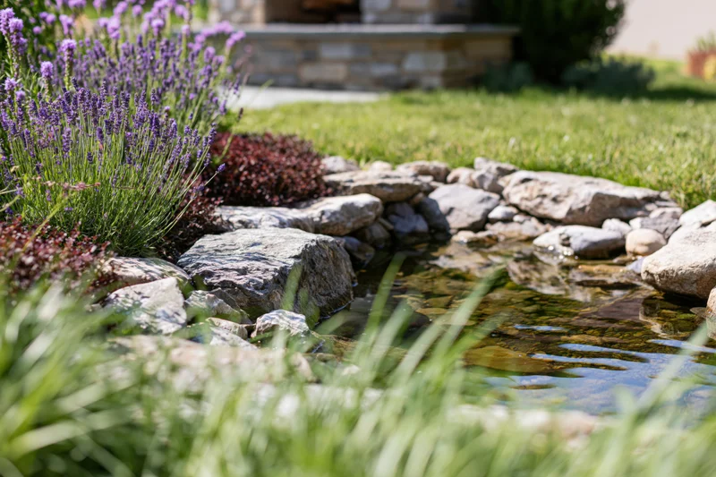 Small garden pond edged with river rocks surrounded by lavender and grass in a backyard setting