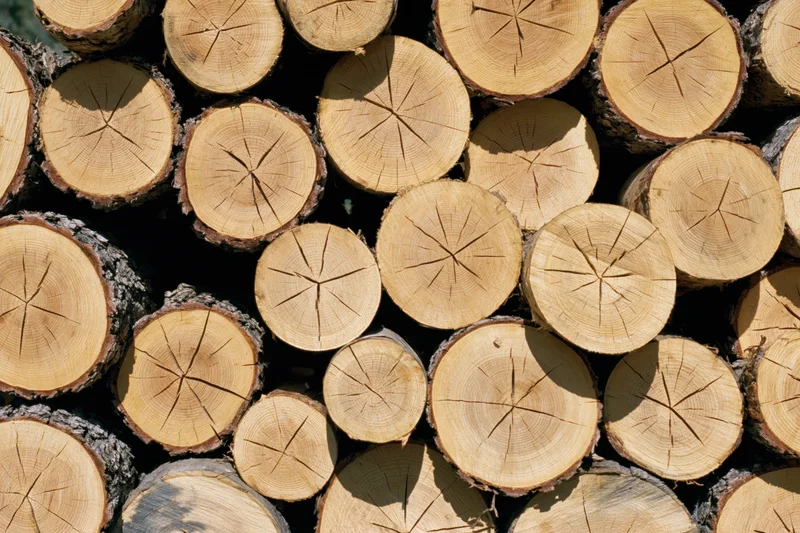 Tightly stacked cut timber logs arranged in a pile outdoors