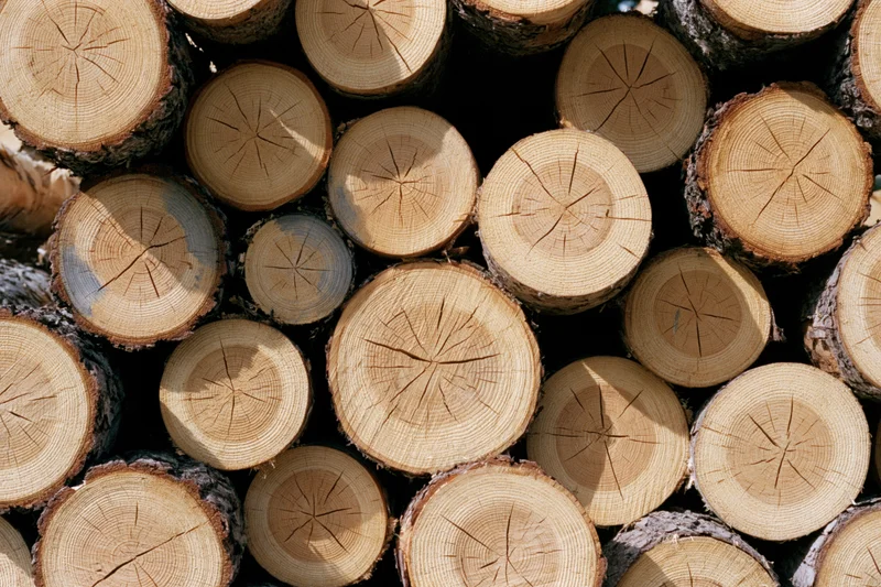 Tightly stacked cut timber logs showing wood grain and growth rings in a pile