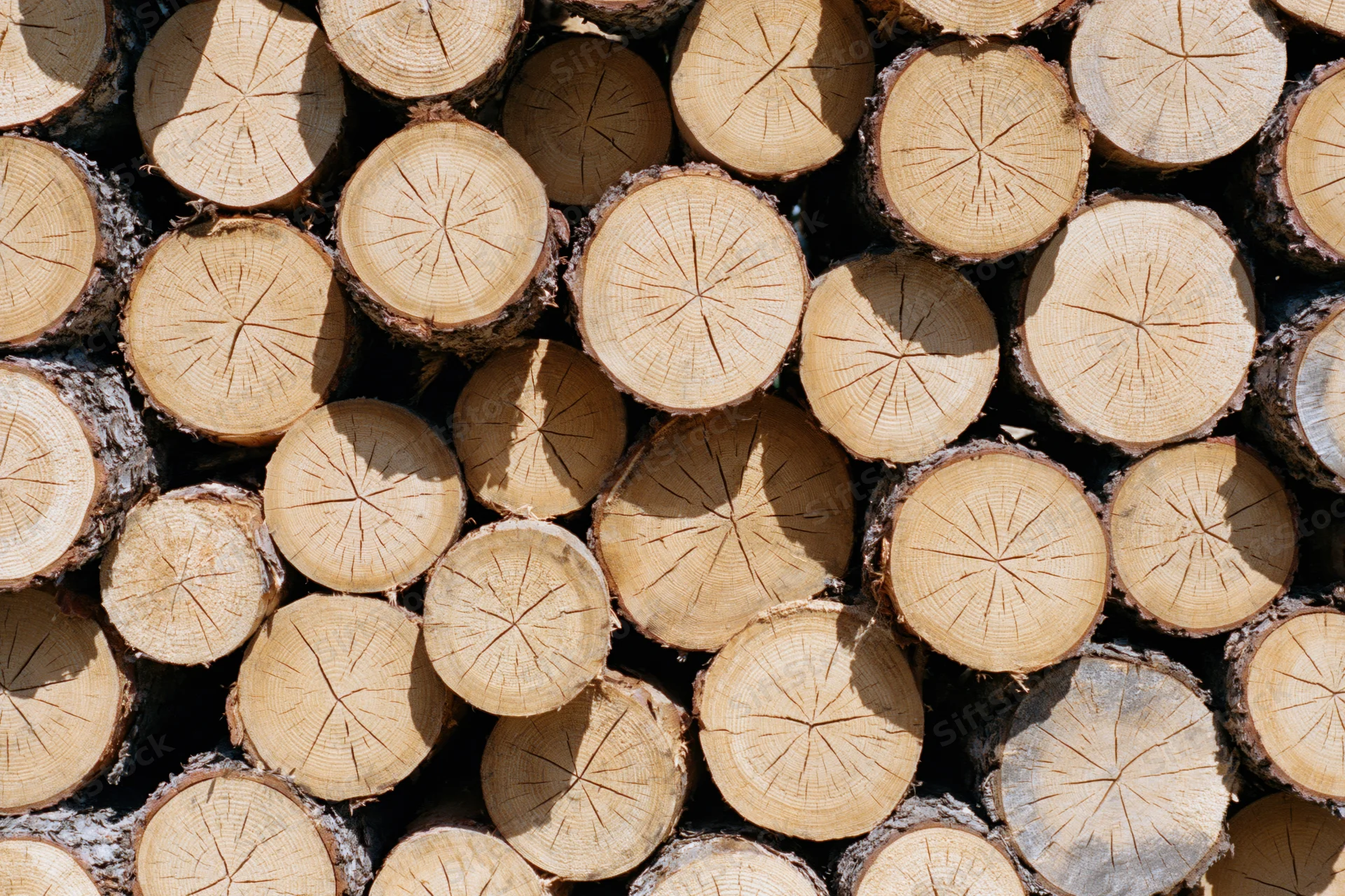 Tightly stacked cut timber logs arranged in a pile outdoors