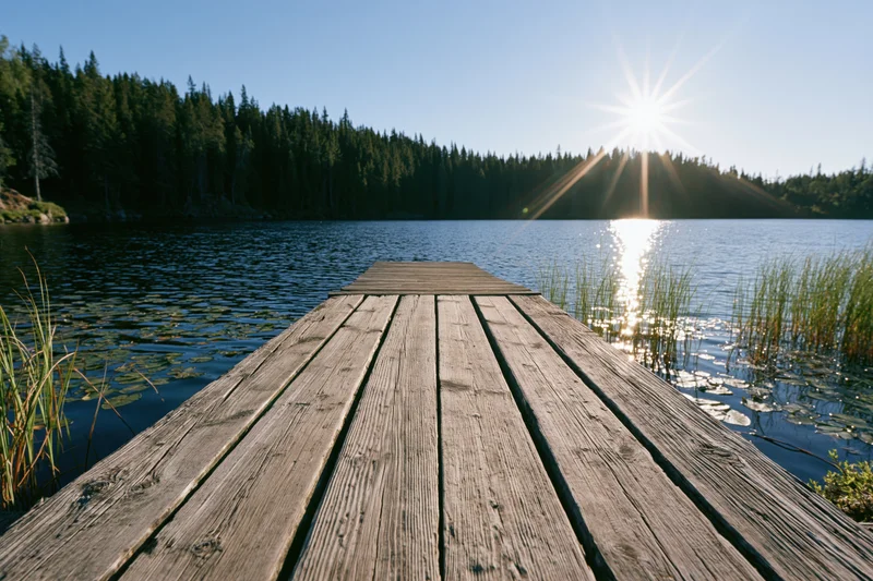 Weathered wooden dock extending into calm forest lake with sunlight reflecting on water