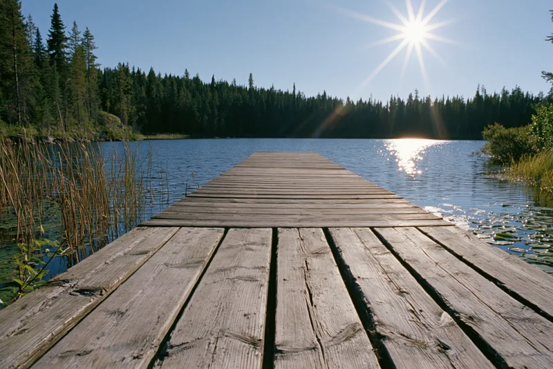 Weathered wooden dock extending into calm forest lake under bright sun