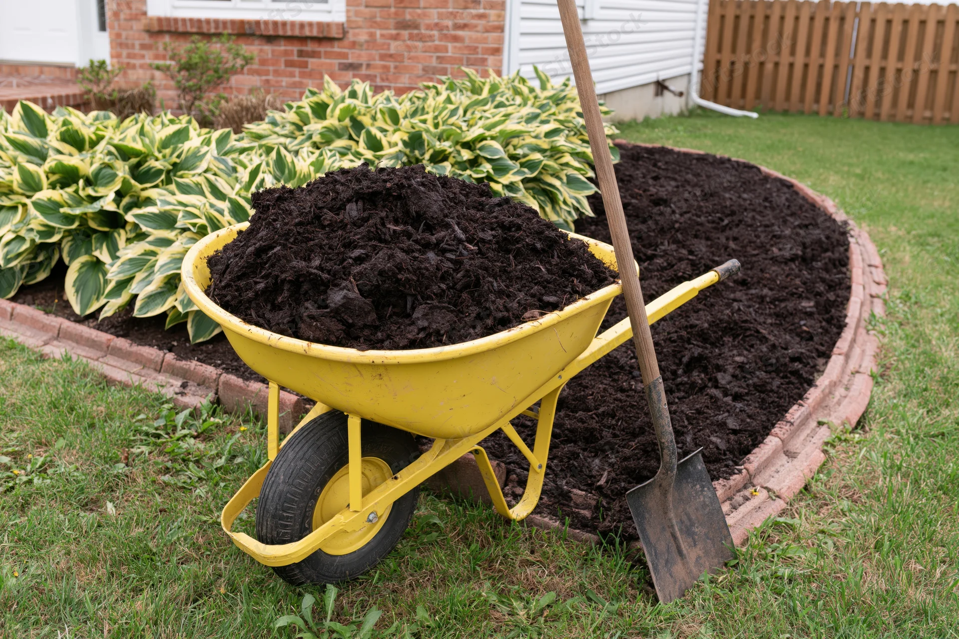 Yellow wheelbarrow filled with dark mulch on a lawn beside a mulched garden bed with hosta plants and brick edging