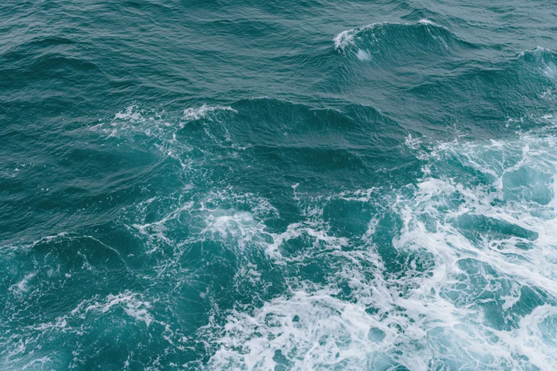 Open ocean surface with small ripples and white foam from breaking waves