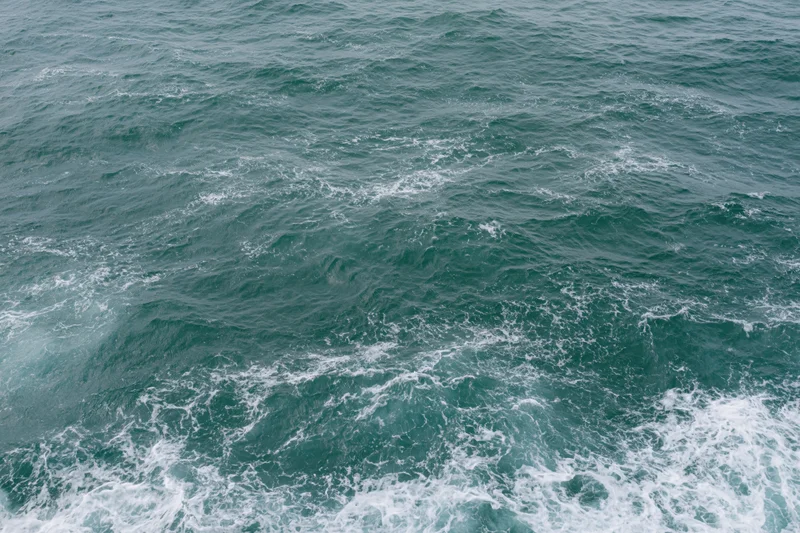 Open ocean surface with small ripples and white foam from waves