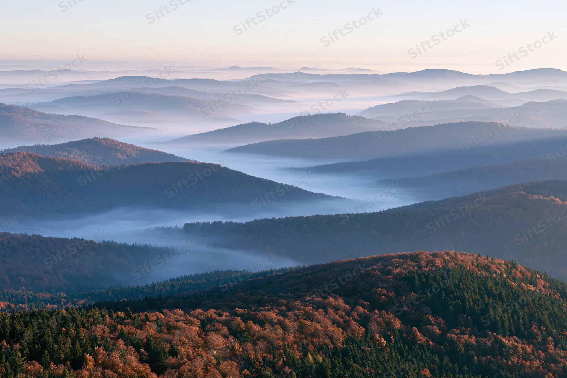 Layered forested mountain ridges receding into foggy valleys under soft morning light