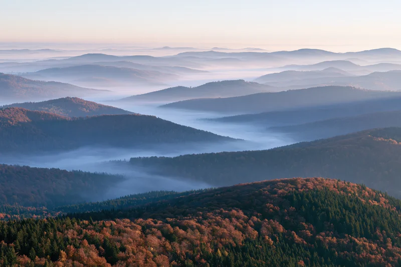 Layered forested mountain ridges receding into foggy valleys under soft morning light