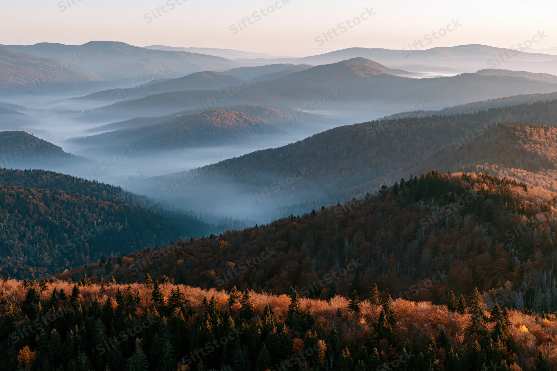 Layered forested mountain ridges receding into misty valleys under golden light